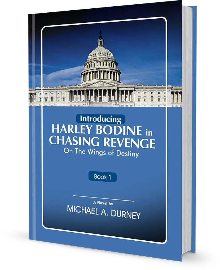 Chasing Revenge: On The Wings Of Destiny Book Cover